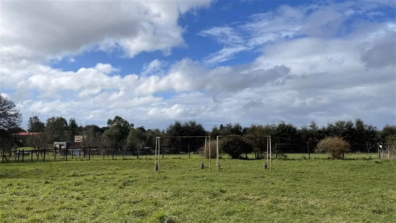Bien ubicada y con vista, Parcela 5000 m2 - Puerto Varas