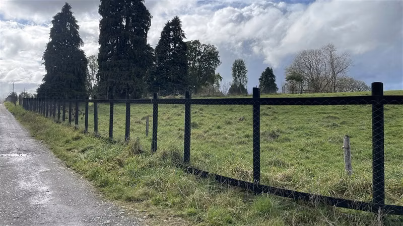 Bien ubicada y con vista, Parcela 5000 m2 - Puerto Varas