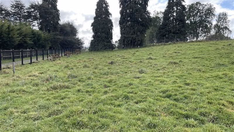 Bien ubicada y con vista, Parcela 5000 m2 - Puerto Varas