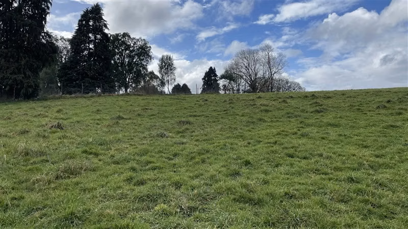 Bien ubicada y con vista, Parcela 5000 m2 - Puerto Varas