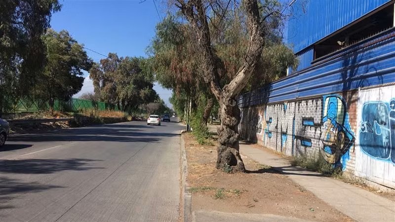 Industrial en Venta en Cerrillos
