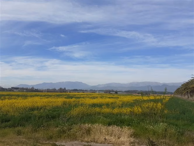 Parcela en Venta en Isla de Maipo