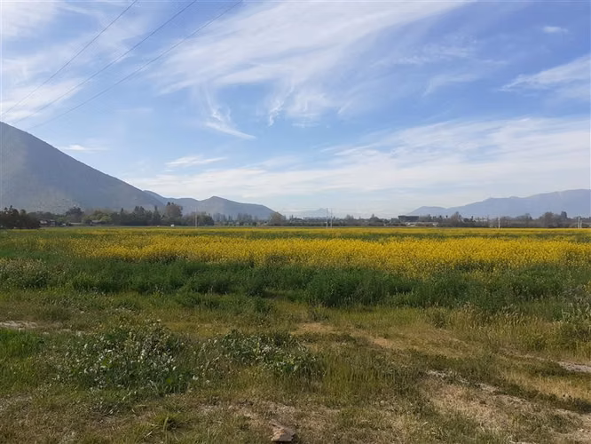 Parcela en Venta en Isla de Maipo