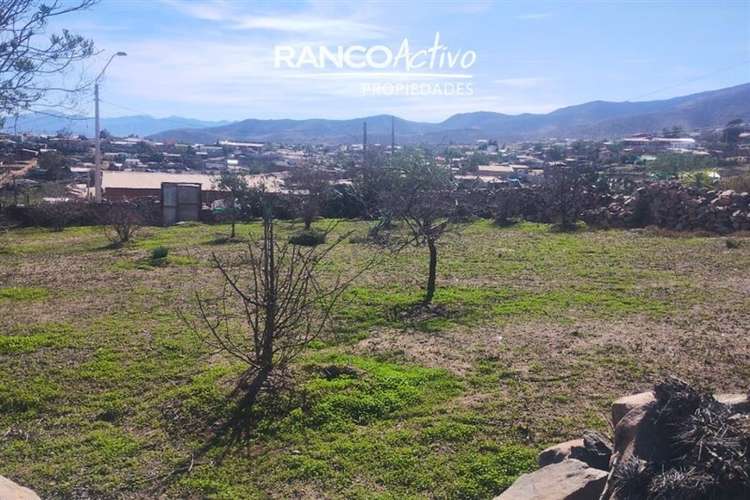 Sitio en La Higuera de 1122 m2 con Agua y Luz