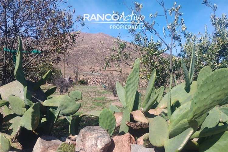 Sitio en La Higuera de 1122 m2 con Agua y Luz