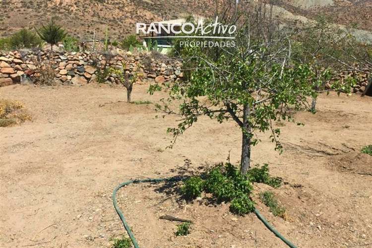 Sitio en La Higuera de 1122 m2 con Agua y Luz