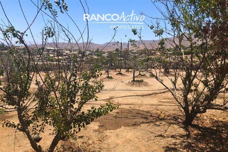 Sitio en La Higuera de 1122 m2 con Agua y Luz