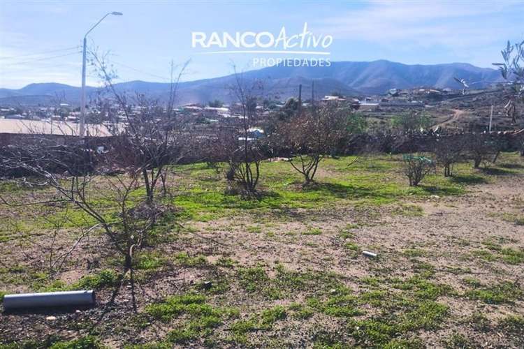 Sitio en La Higuera de 1122 m2 con Agua y Luz