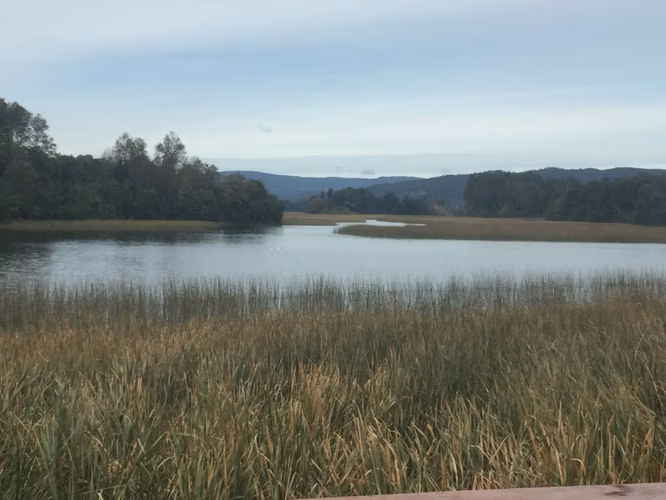 Exclusivo terreno en Condominio Riberas Estancilla, Valdivia