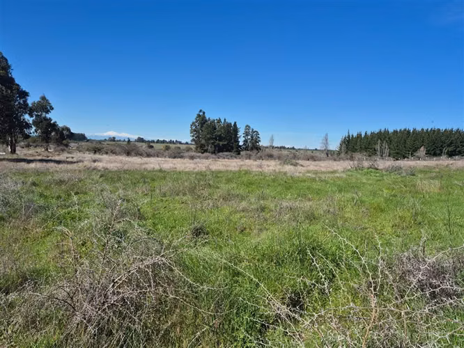 Parcelas en Chillán rol propio a min de San Nicolás crédito