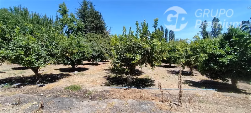 Oferta Parcela en venta en Isla de Maipo