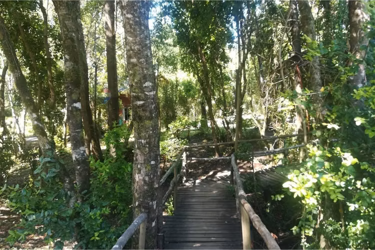 En venta  proyecto turístico en pucón