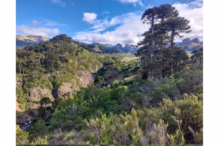 Terreno agrícola en lonquimay, araucanía