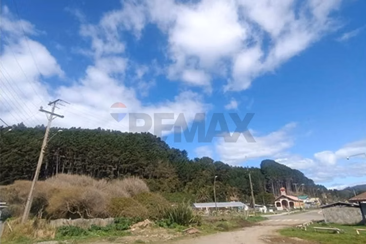 Venta de refugio natural en región de los ríos