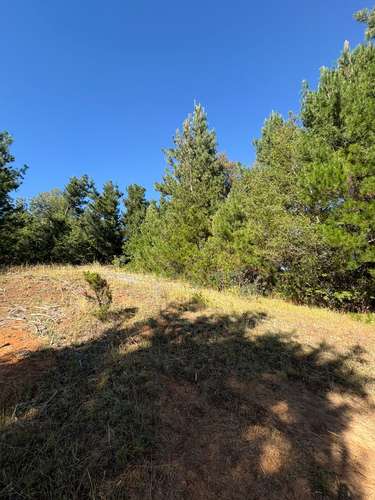 VENTA DE TERRENO 18000 M2  ROL PROPIO LUZ Y AGUA PROPIA