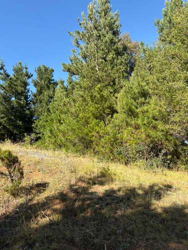 VENTA DE TERRENO 18000 M2  ROL PROPIO LUZ Y AGUA PROPIA