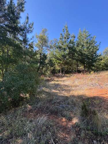 VENTA DE TERRENO 18000 M2  ROL PROPIO LUZ Y AGUA PROPIA