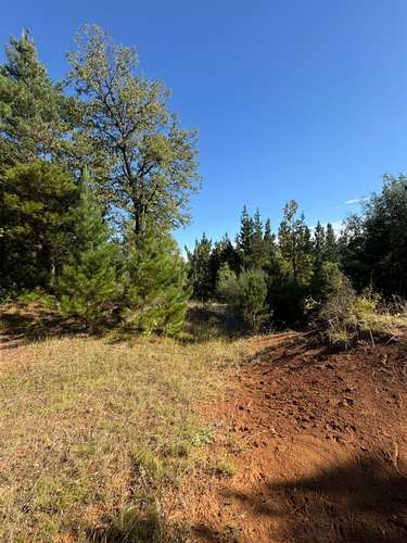 VENTA DE TERRENO 18000 M2  ROL PROPIO LUZ Y AGUA PROPIA