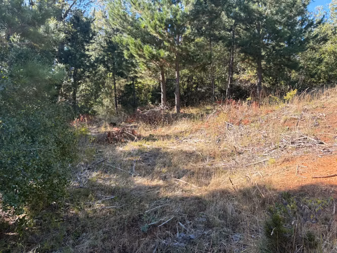 TERRENO  VENTA SECTOR MIRRIHUE  ANTUCO 18000 M2 - Imagen 16