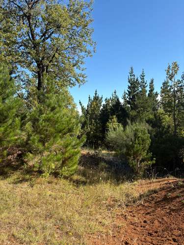 VENTA DE TERRENO 18000 M2  ROL PROPIO LUZ Y AGUA PROPIA