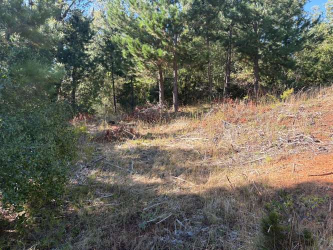 VENTA DE TERRENO 18000 M2  ROL PROPIO LUZ Y AGUA PROPIA