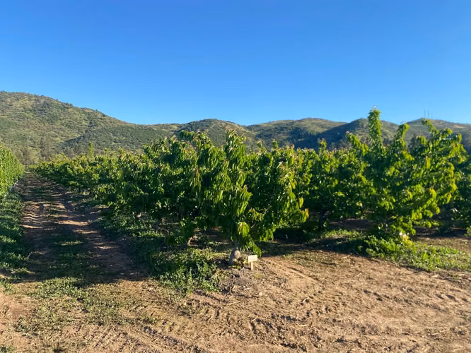 VENTA TERRENO, COMUNA CHIMBARONGO