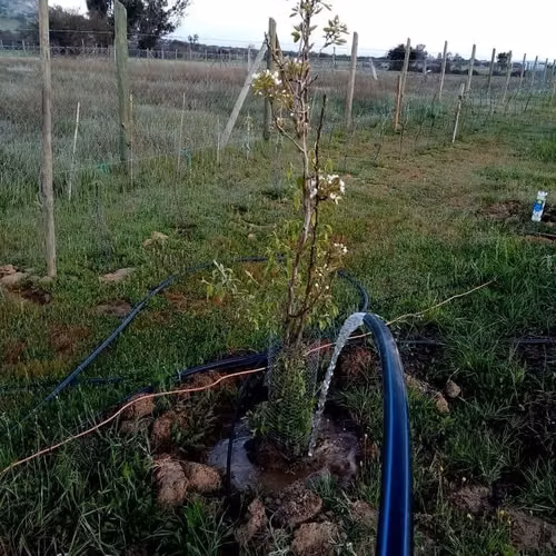 PARCELA CON AGUA Y LUZ A 130 KMS DE SANTIAGO