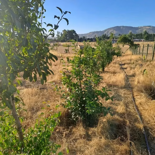 PARCELA CON AGUA Y LUZ A 130 KMS DE SANTIAGO