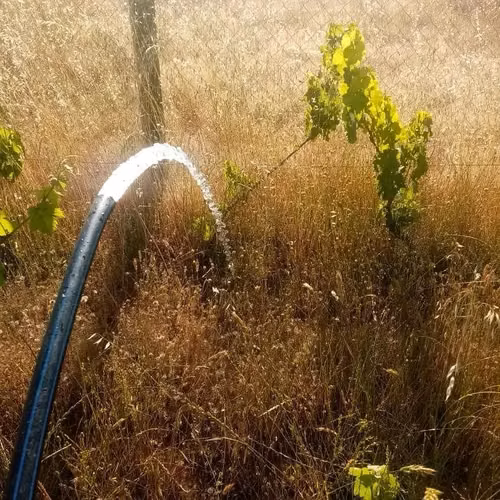 PARCELA CON AGUA Y LUZ A 130 KMS DE SANTIAGO