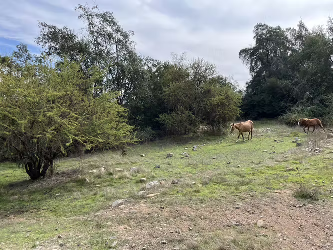 VENTA HERMOSO TERRENO CON ORILLA DE ESTERO