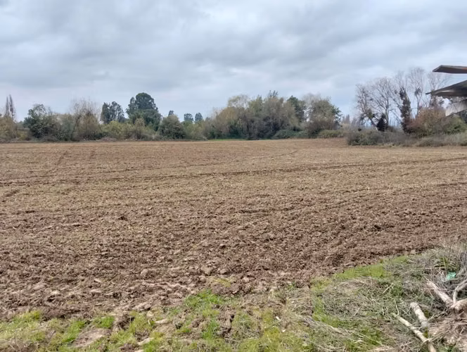 CAMPO AGRÍCOLA DE 27,5 HA CERCANO A LINARES
