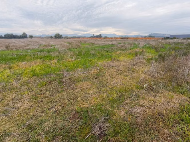 12 HA EXCELENTE SUELO AGUA BUEN ACCESO SAN CLEMENTE VII R