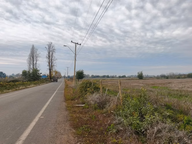 12 HA EXCELENTE SUELO AGUA BUEN ACCESO SAN CLEMENTE VII R