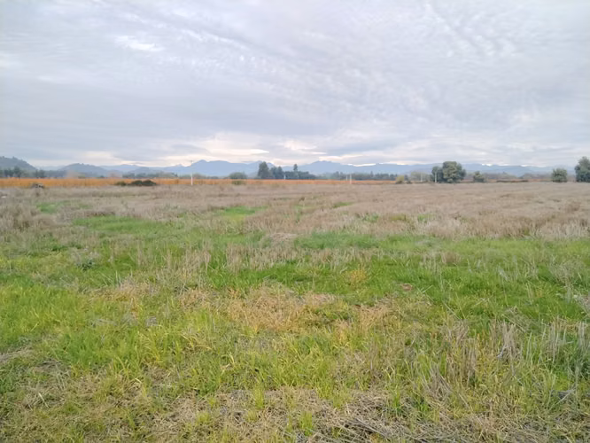 12 HA EXCELENTE SUELO AGUA BUEN ACCESO SAN CLEMENTE VII R