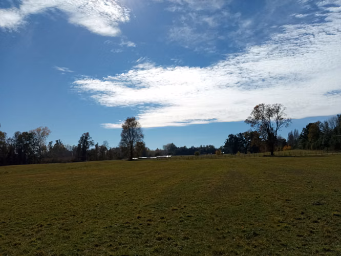 HERMOSAS PARCELAS PLANAS A 15 MINUTOS DE VILLARRICA