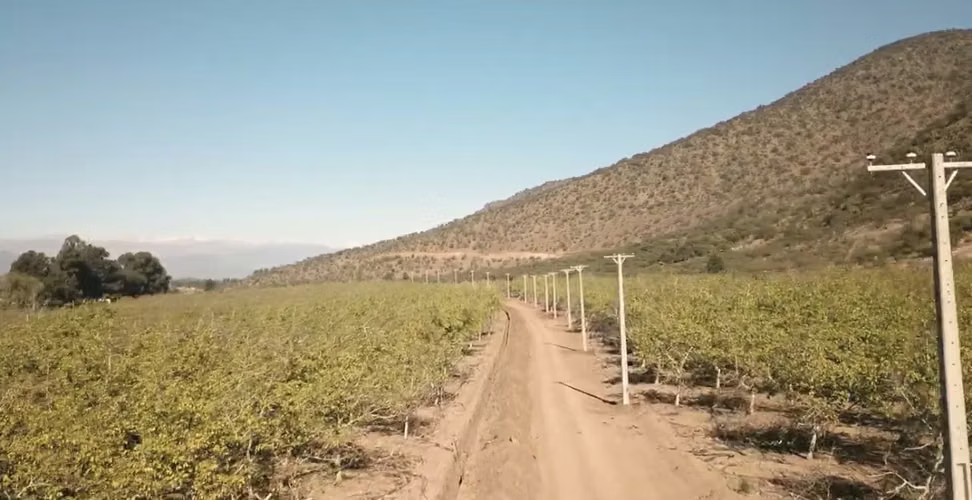 NUEVO LOTEO- LOTES DE 5000M2-RANCAGUA