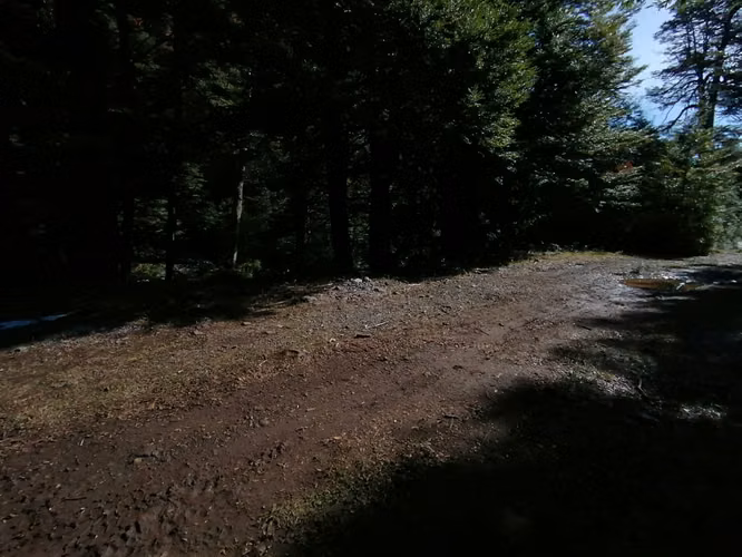 VENTA PARCELA DE 56HÁ CENTRO DE MELIPEUCO