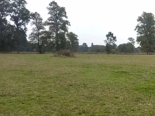 GRAN PARCELA EN VENTA, PURRANQUE - FUTILLAR - Imagen 9