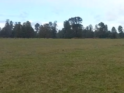 GRAN PARCELA EN VENTA, PURRANQUE - FUTILLAR - Imagen 4