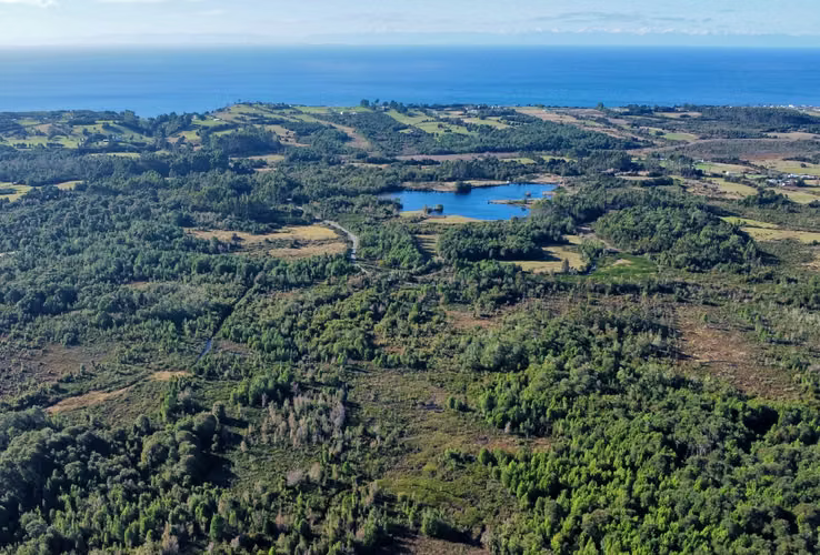 OPORTUNIDAD CAMPO 30HA CON RIO Y BOSQUE NATIVO