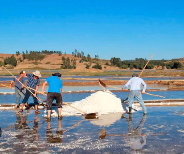 Sal de mar extra blanca sacos de 25 kilos por mayor y detalle