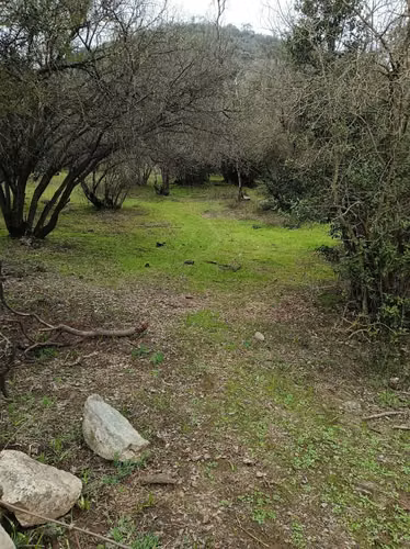 Vendo derechos sobre 10.000m2  Aculeo