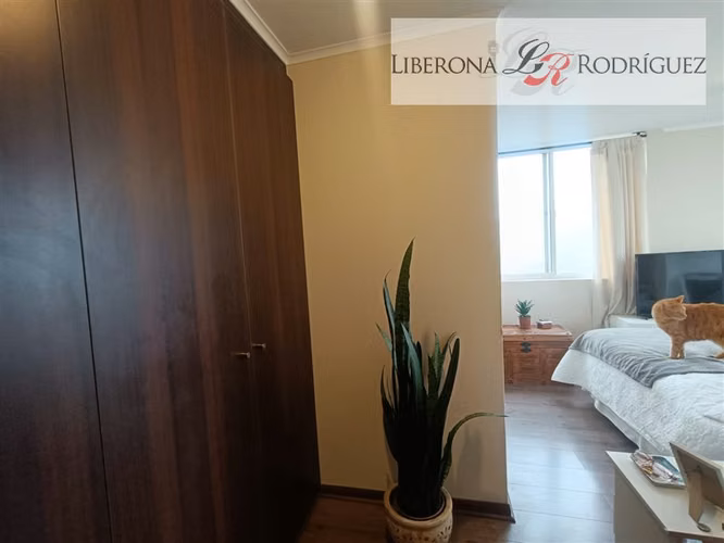 Departamento en venta en Viña del Mar Alto - Imagen 7