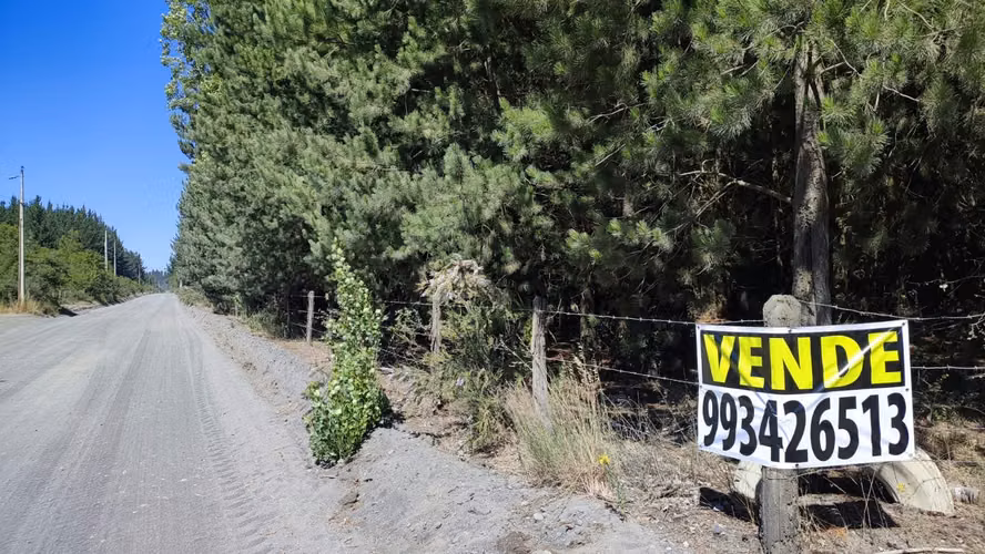 Venta de campo Cerro Colorado- Los Angeles