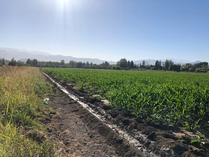 LOTEO PRIVADO CON ALTA PLUSVALÍA EN CHICUREO