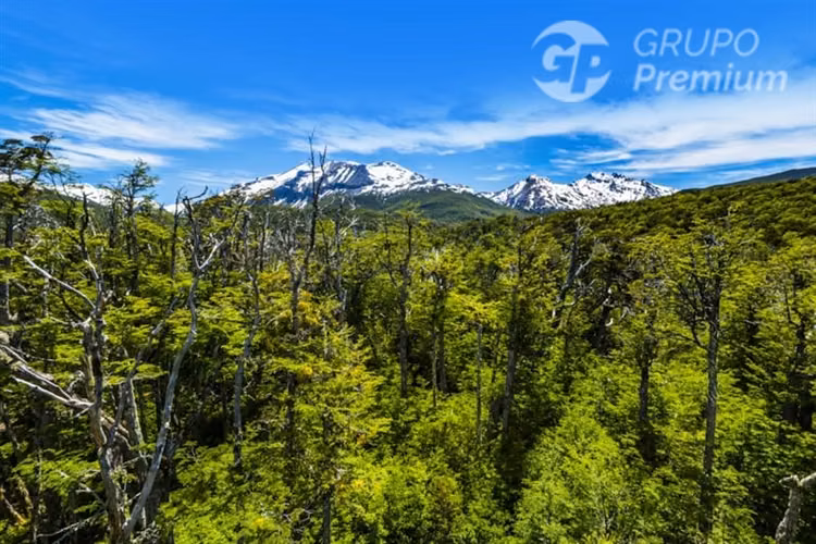 Patagonia:5,9 Ha Con Gran Potencial Turístico En Lago Verde