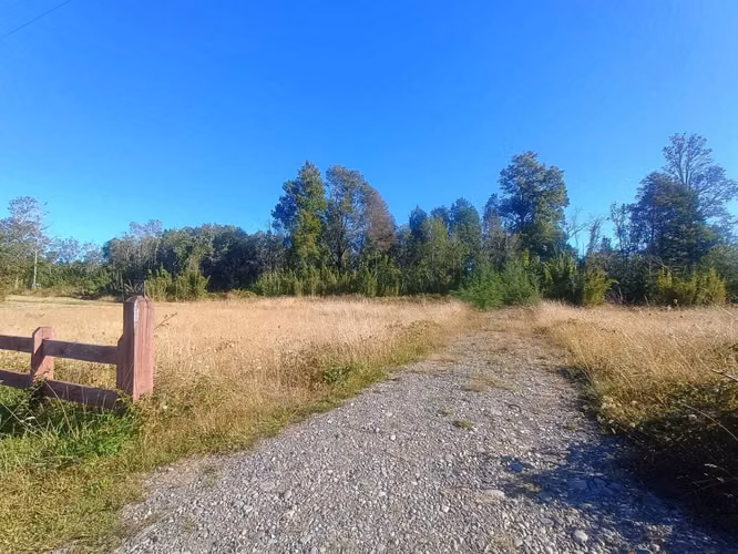 Parcela con bosque nativo