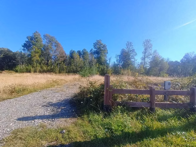 Parcela con bosque nativo