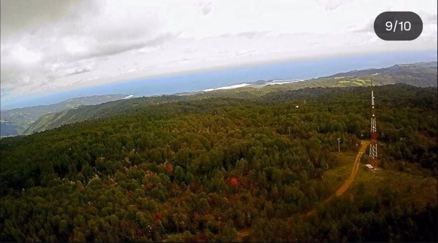 Parcela en plena selva Valdiviana