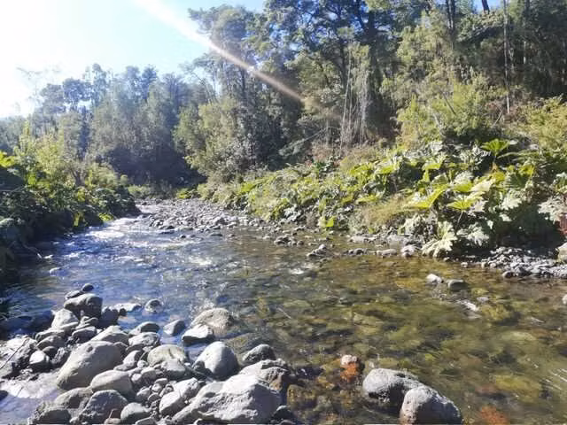 Parcela en Colonia  Rio Sur  ,Puerto Varas